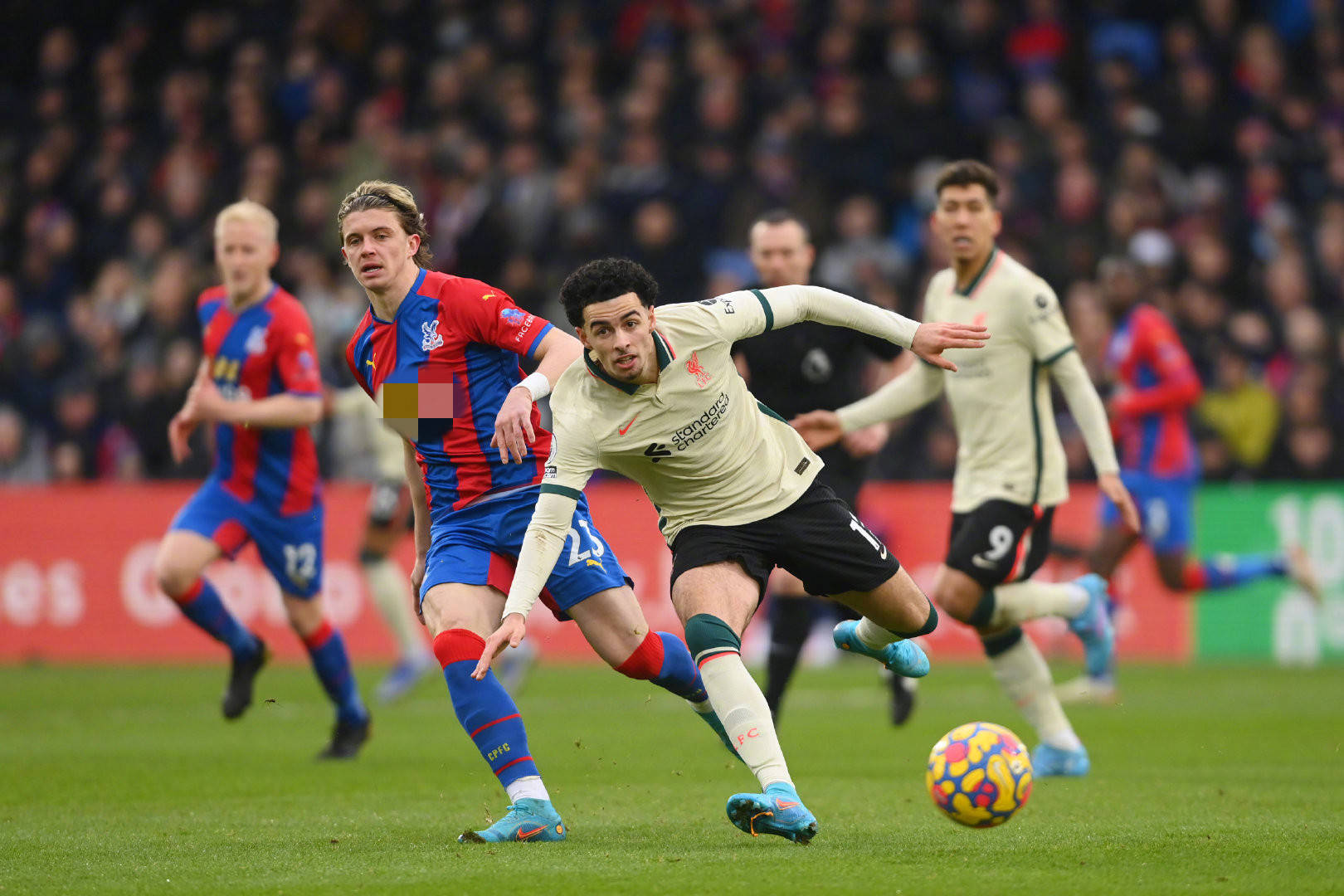 贝尔替补登 贝尔替补登